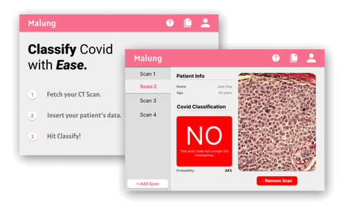MaLung Project Screenshot